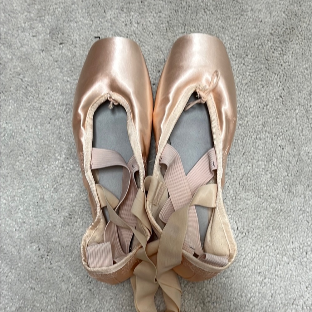 Bloch Heritage Pointe shoes